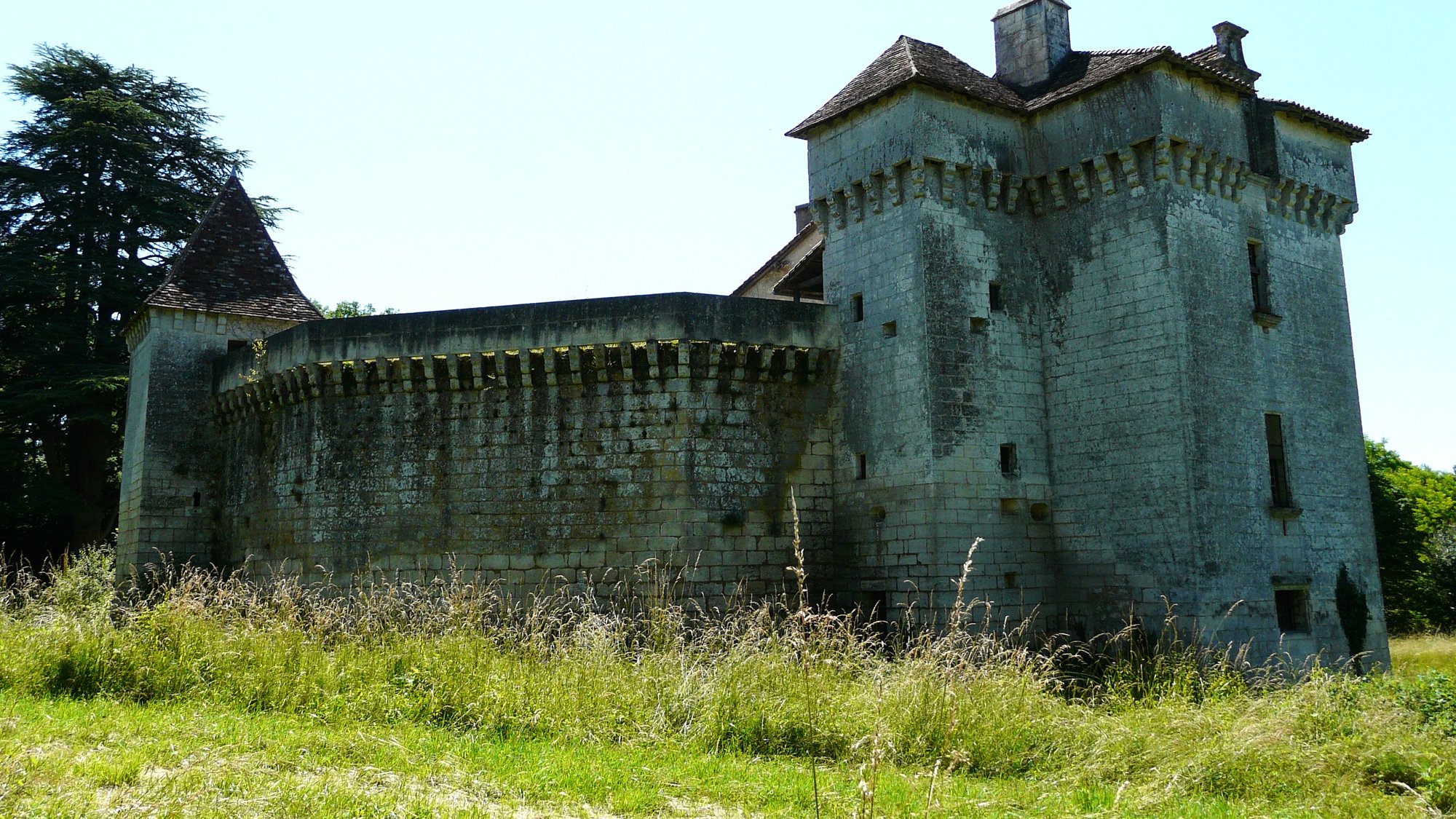La courtine et la tour portière en 2008, au milieu des herbes hautes